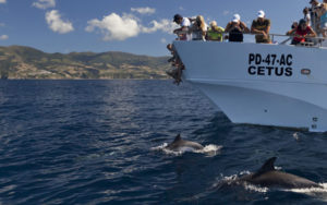 Catamaran holiday Azores