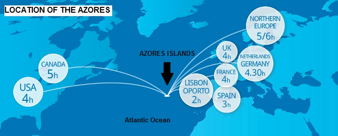 azores dolphin tours