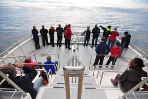 Catamaran Whale Watching holidays Azores