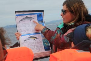 learning about whales in the Azores