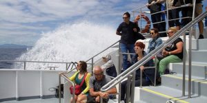 Catamaran holidays in Azores