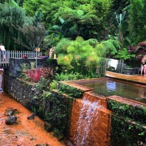 Furnas hot springs Azores