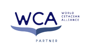 World Cetacean Alliance