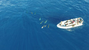 RIB boat ariel shot Azores