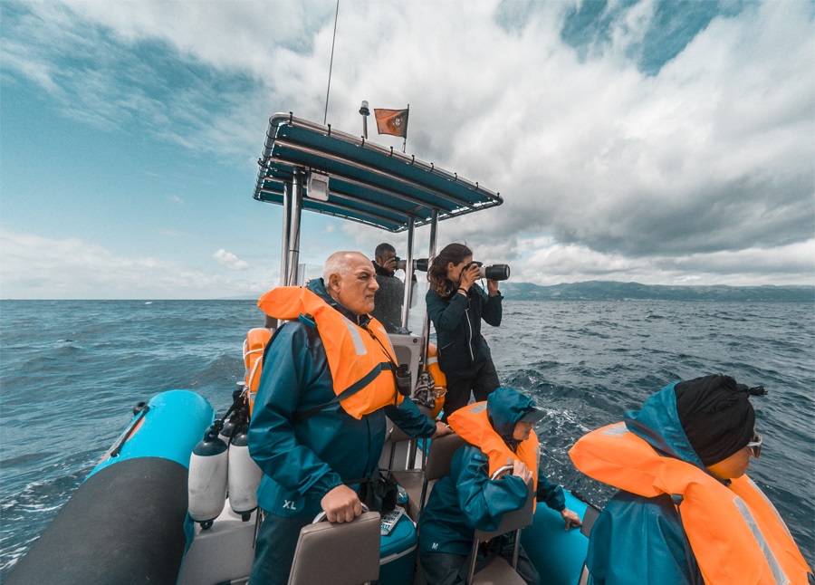 Marine Biologist Azores