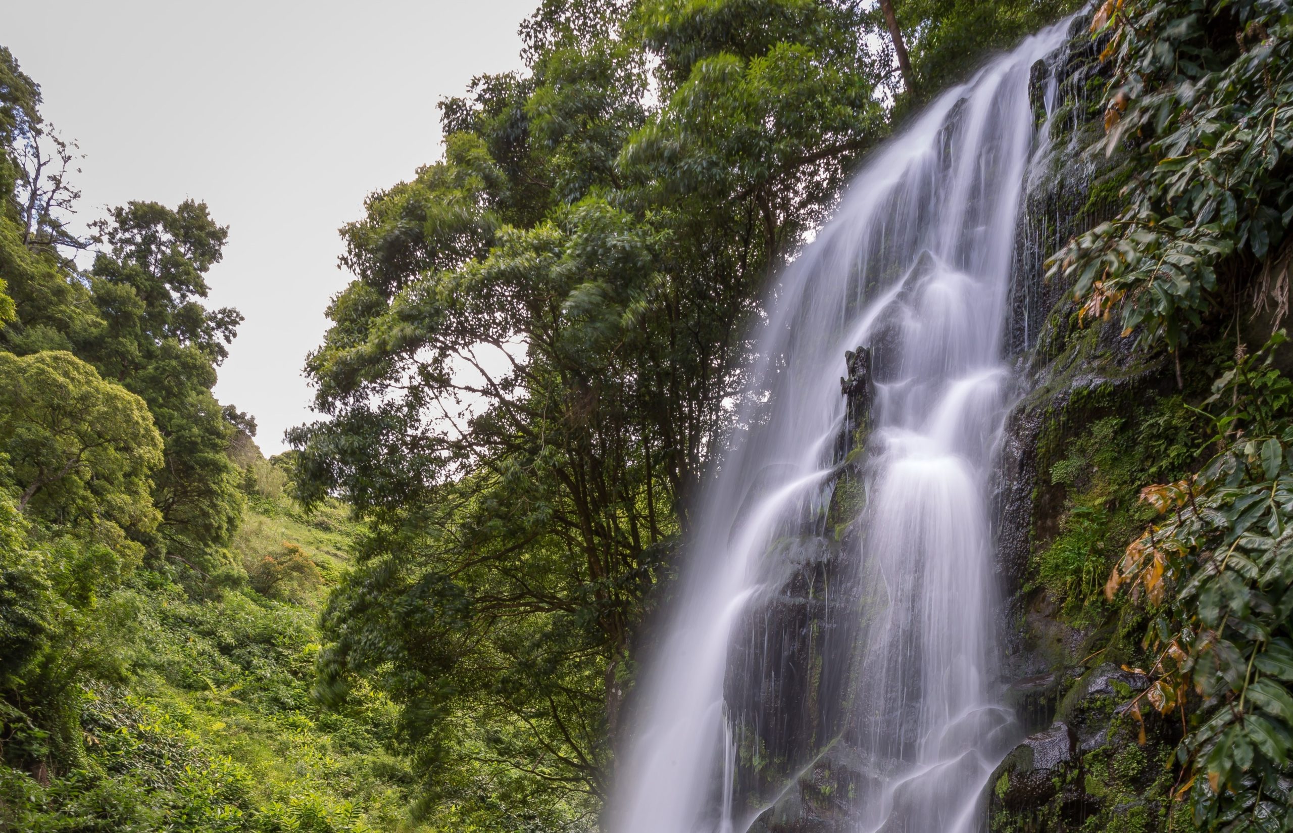 Canyoning In The Azores