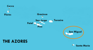 azores dolphin tours