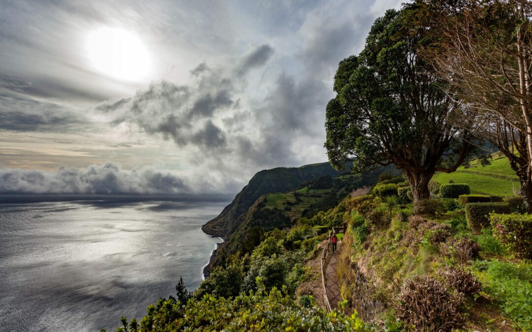 Full day Hiking in Faial da Terra & Nordeste Van Tour